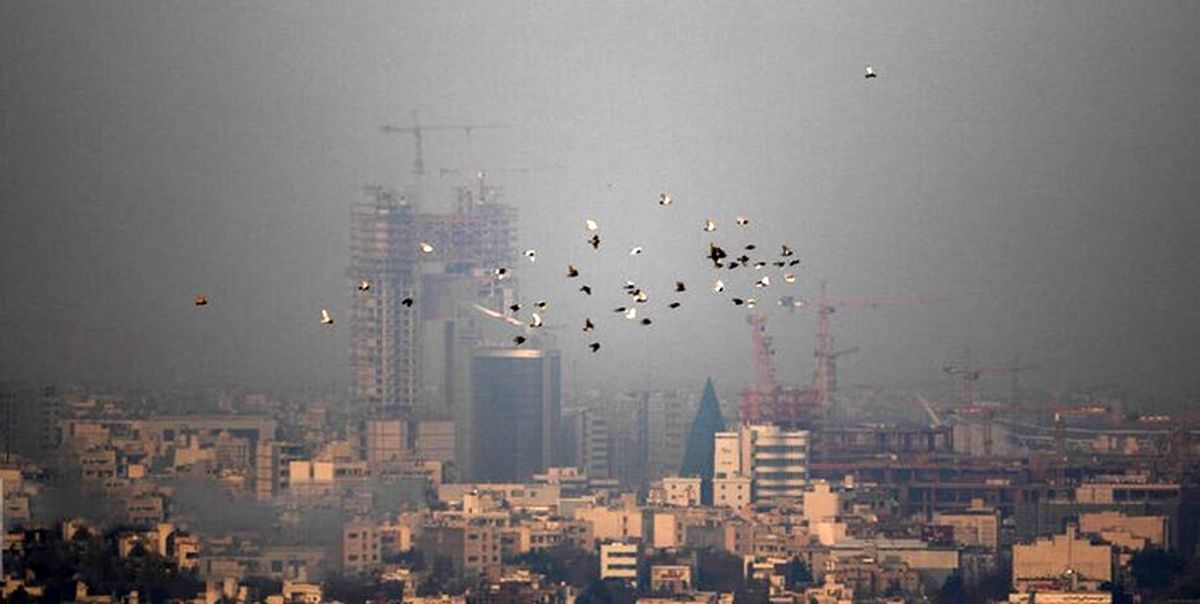 بارش برف و باران در این 15 استان