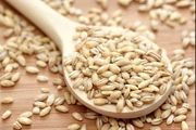 نقش جو در زنجیره غذایی
