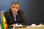نشست اساتید با رئیس سازمان انرژی اتمی