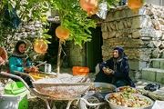 «دورک اناری» روستایی با توانمندی های خاص
