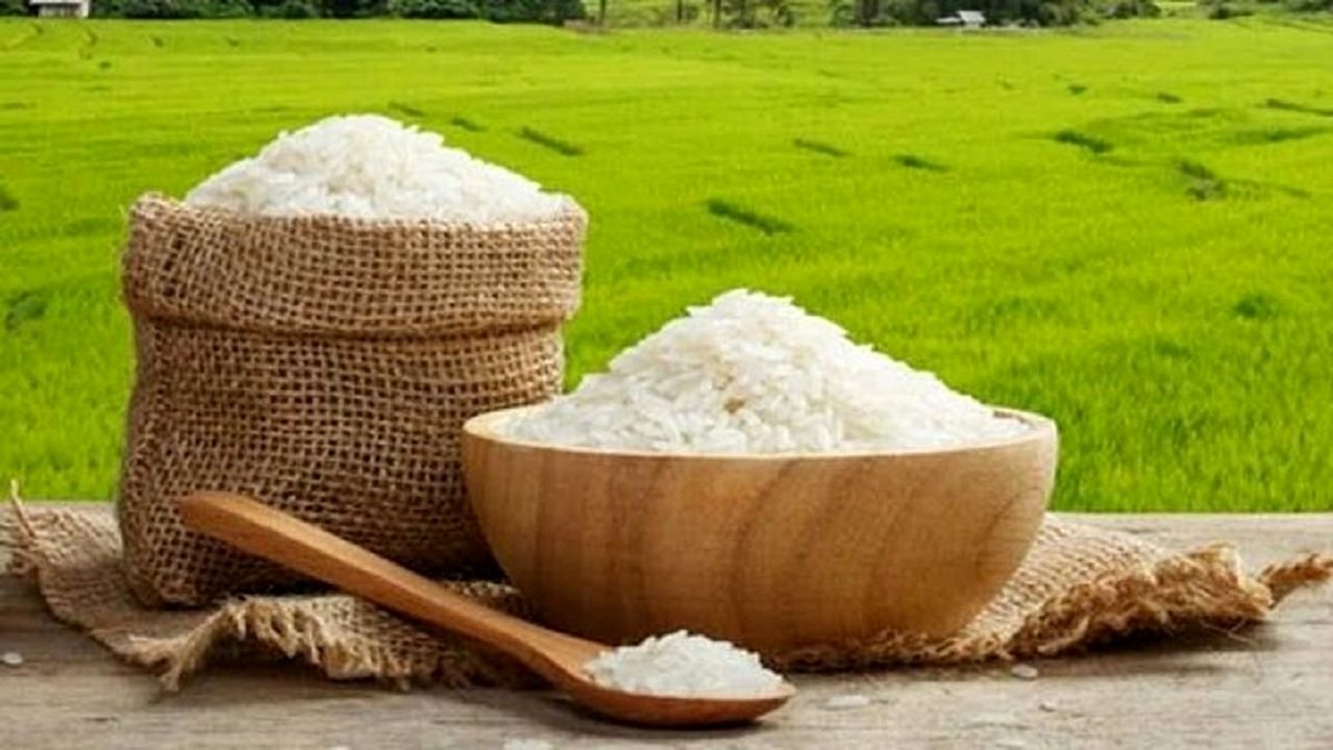 قیمت برنج به کمتر از ۸۰ هزار تومان می رسد؟
