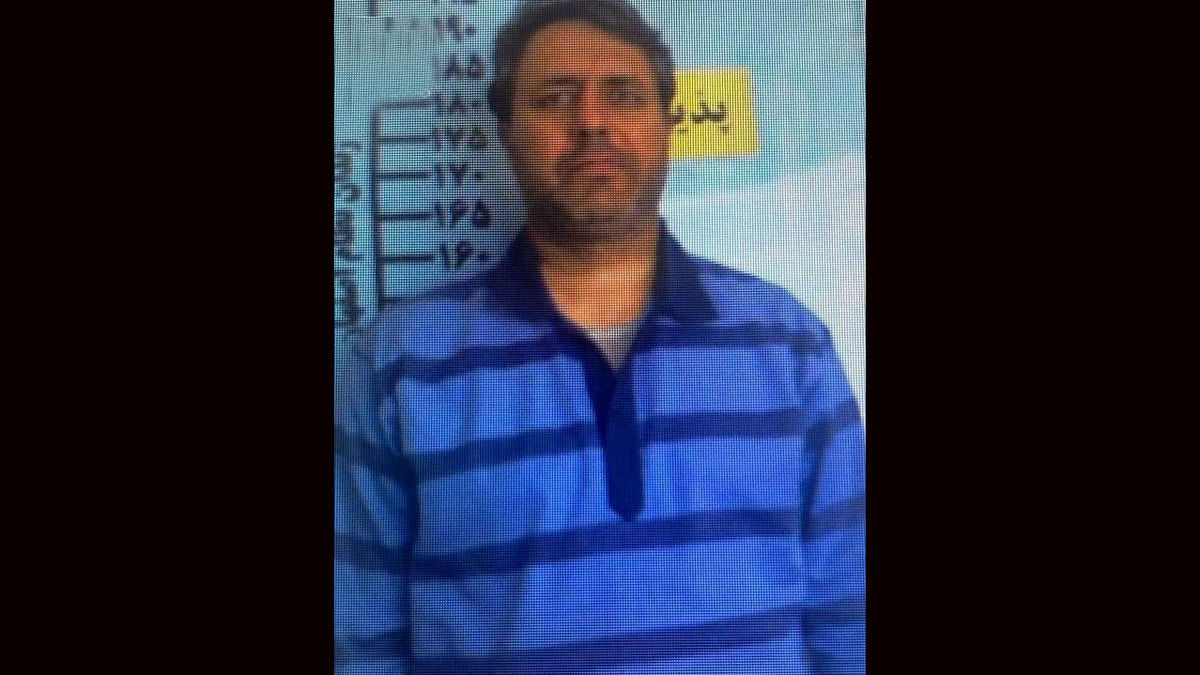 بیوگرافی مجید مسیبی