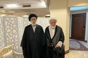 دیدار سیدهادی خامنه‌ای با مهدی کروبی