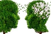 نشانه های مهم در آلزایمر