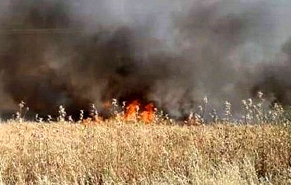 ادامه آتش سوزی مزارع گندم و جو سوریه 
