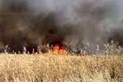ادامه آتش سوزی مزارع گندم و جو سوریه 
