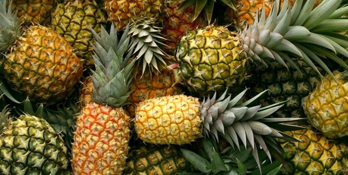 خواص بی نظیر ضد کرونایی آناناس+ جزئیات