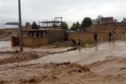 افرادی که از آب گل آلود در بروجرد ماهی گرفتند