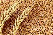 بحران غذایی در جهان با درگیری بین روسیه و اوکراین 