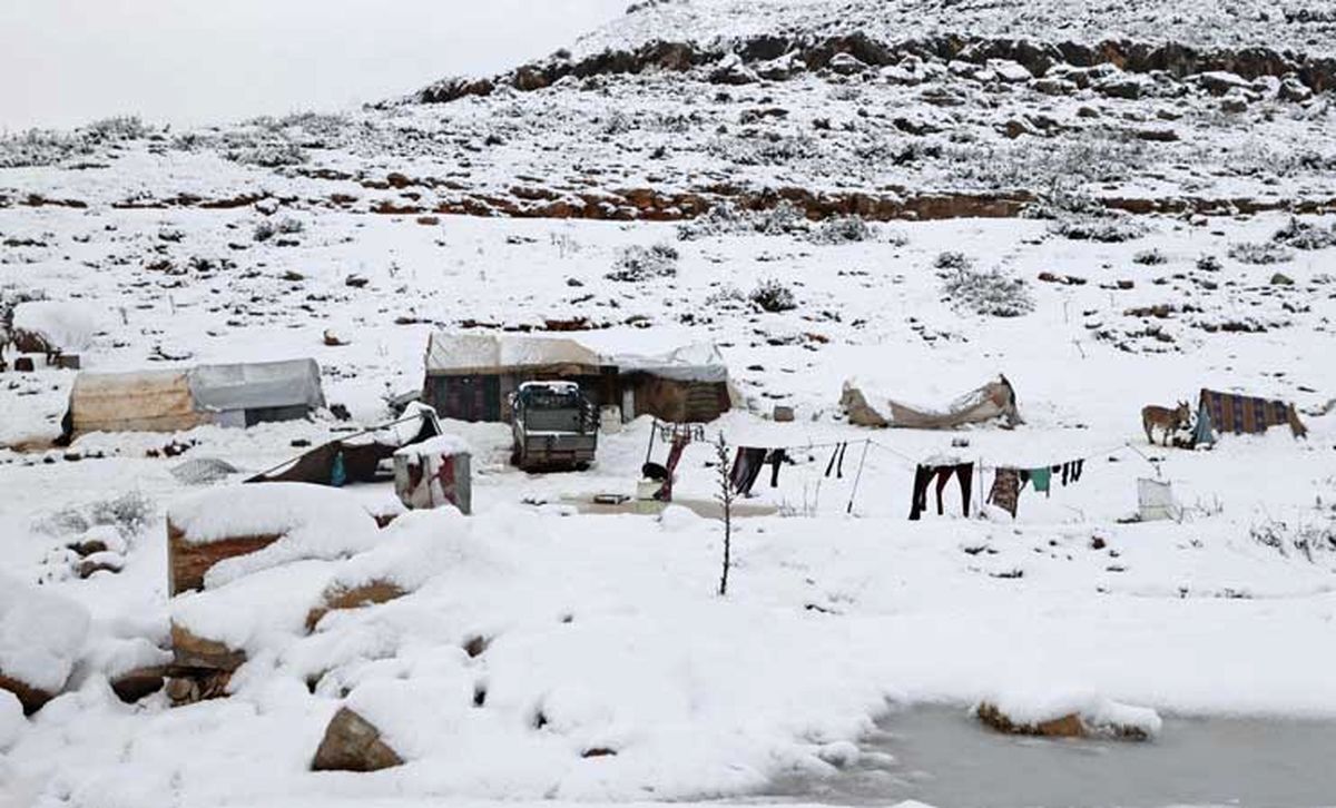 فواید کُرسی در زمستان +اینفوگرافی