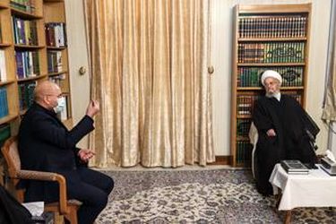 دیدار رئیس مجلس شورای اسلامی با مراجع عظام تقلید در قم/گزارش تصویری