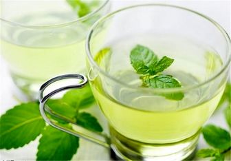 گیاهی جادویی که در درمان بسیاری از بیماری ها موثر است