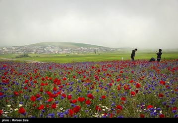 طبیعت