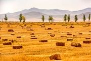 کشاورزان فراموش‌شده خدابنده/ گزارش تصویری