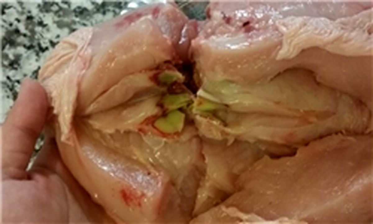  چگونه از سلامت مرغ اطمینان پیدا کنیم