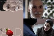 ناگفته‌های فیلم‌ساز ایرانی در کانادا 