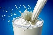 تولید 921 هزار تن شیر طی سال 94 در خراسان رضوی