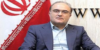 افزایش قیمت مرغ ناشی از انفعال دولت در کنترل بازار است