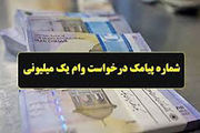 شماره پیامک یارانه یک میلیون تومانی