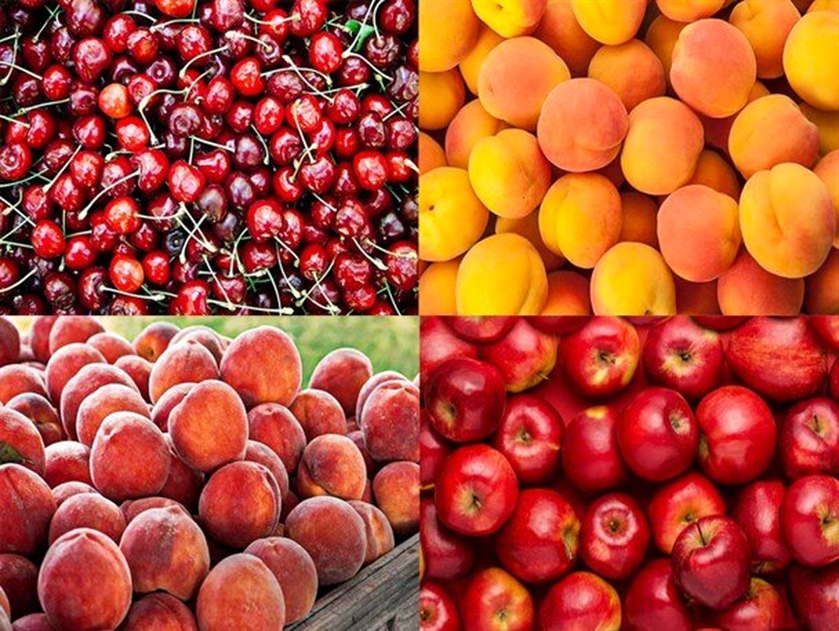 میوه های نوبرانه ارزان شد+لیست قیمت میوه ها