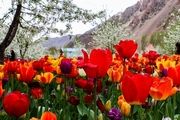 احداث 40هکتار فضای سبز پیرامون بزرگترین مجتمع نمایشگاهی کشور
