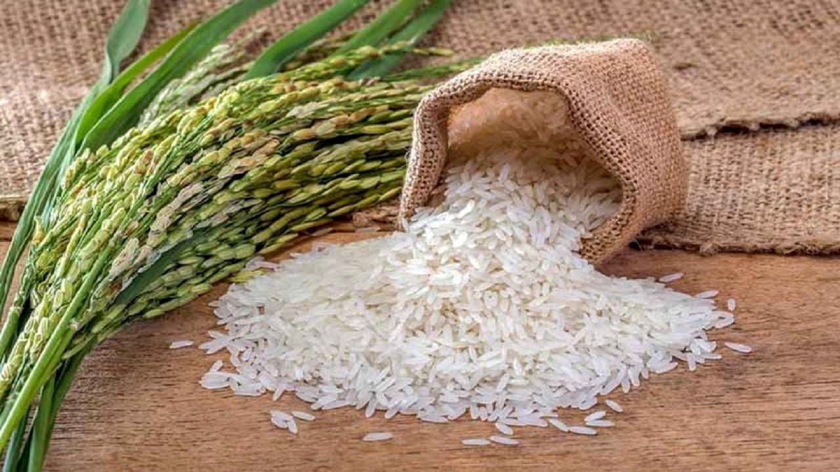 پیشنهاد طرح خرید ۱۰۰ هزارتن برنج ایرانی در ازای واردات ۲۰۰ هزارتن برنج

