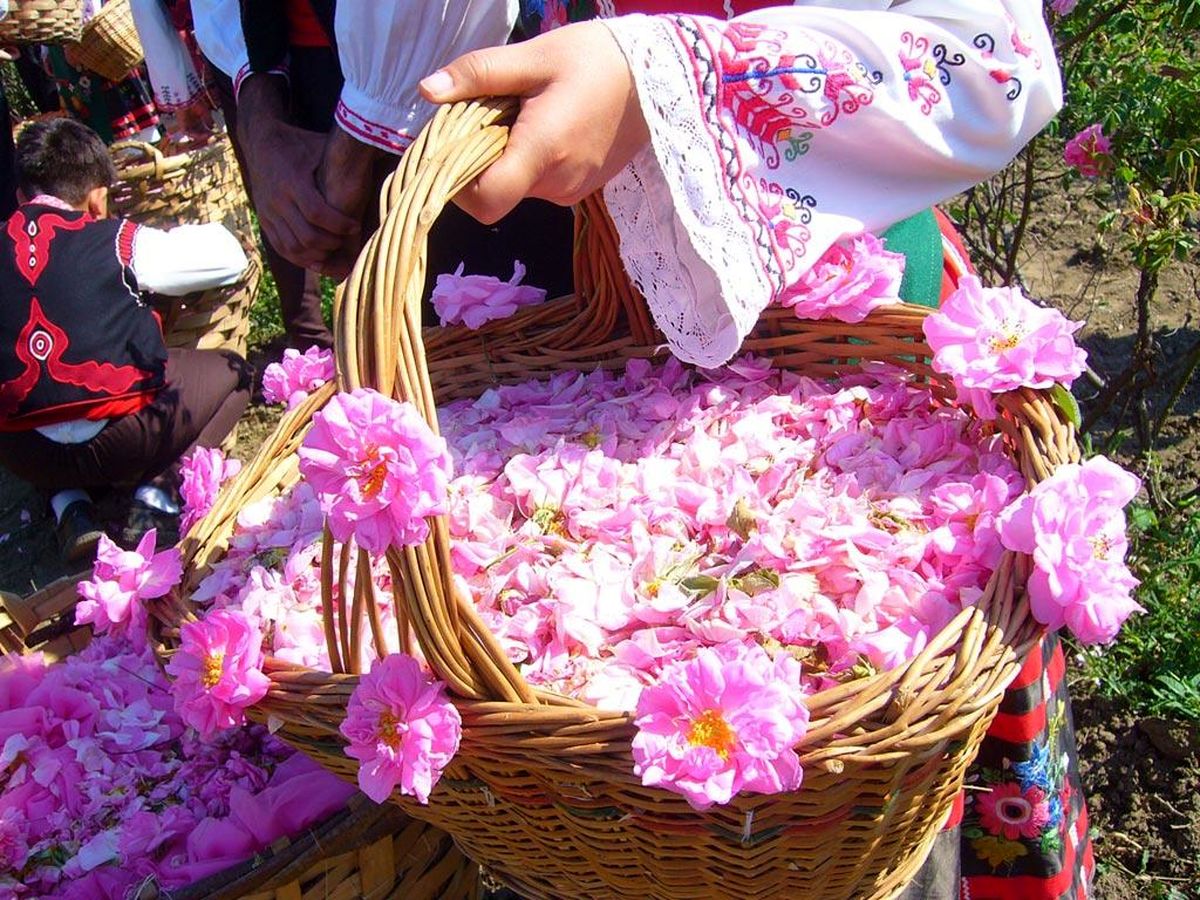 این عرقیات برای درد معده مفید هستند