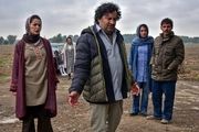 آشنایی با کارگردانان جشنواره سی و هفتم/«صفی یزدانیان» و «ناگهان درخت»