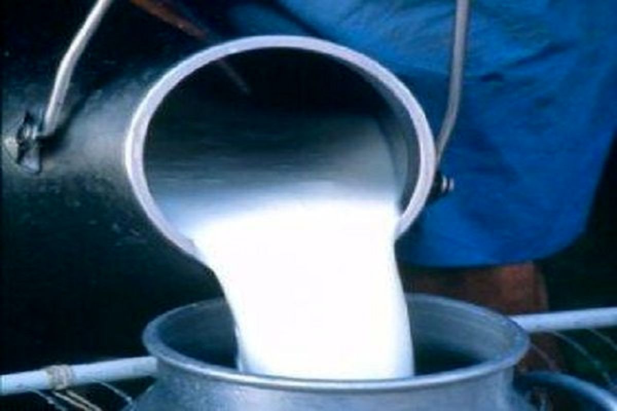 شیرهای تاریخ گذشته تحت چه عنوانی فروخته میشوند؟!