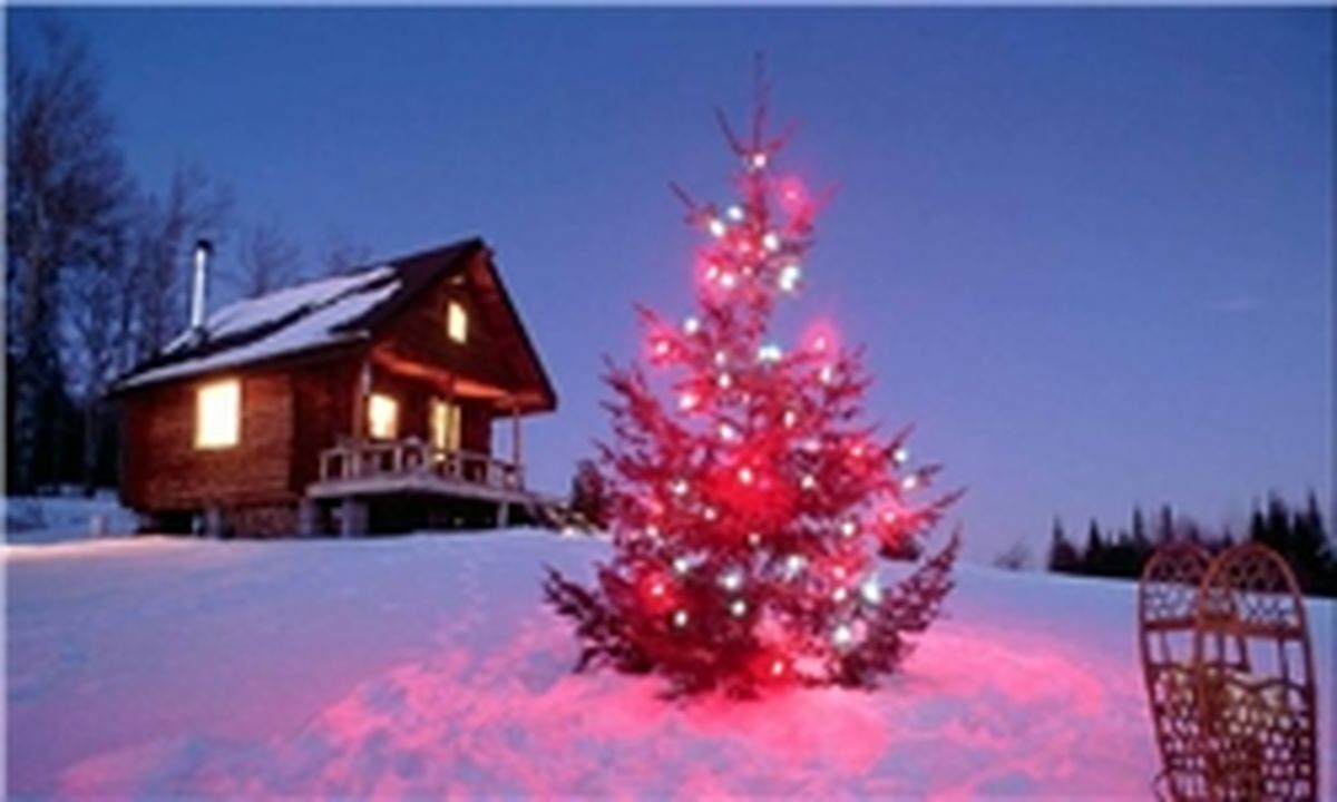 گران‌‌ترین درخت کریسمس تاریخ +عکس