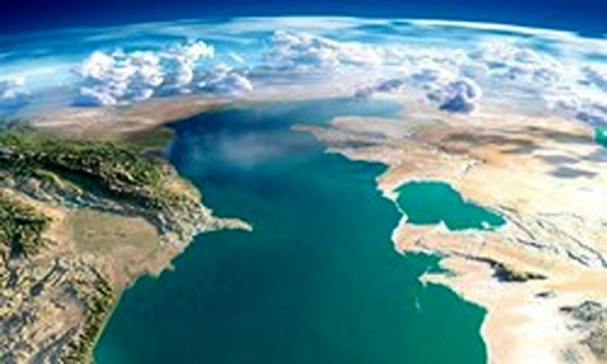 نه 50 درصد مبنایی دارد نه 11 درصد