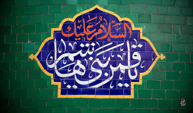 7n67Jcllrm8v