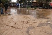بجز وزیر نیرو کسی برای پیگیری مشکلات سیل زدگان به خوزستان نیامد