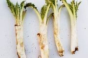 این سبزی ناشناخته معجزه می کند