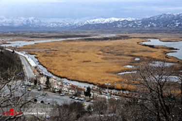 thm_1020493_762