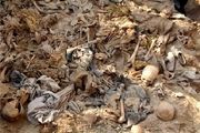 کشف یک گور دسته جمعی از جنازه‌های سرکردگان داعش