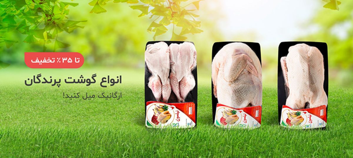 خواص گوشت قرقاول چیست؟ آیا می توانیم قرقاول را به جای مرغ مصرف کنیم؟