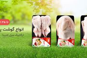 خواص گوشت قرقاول چیست؟ آیا می توانیم قرقاول را به جای مرغ مصرف کنیم؟