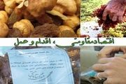 برندسازی محصولات کشاورزی با محقق شدن اقتصاد مقاومتی در خنداب + تصاویر