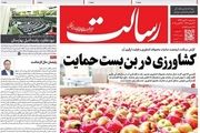 کشاورزی در بن بست حمایت/پیشخوان