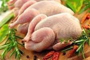 کاهش قیمت مرغ با آنفلوآنزای مرغی 