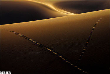 n00082149-r-b-001