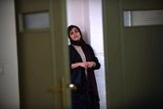 «تشک» به جشنواره هلند می رود