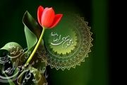 میلاد امام مهربانی ها مبارک باد/گزارش تصویری