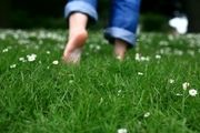 با فواید پیاده‌روی روی چمن آشنا شوید! 