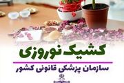 پزشکی قانونی در تعطیلات نوروز کشیک فعال دارد