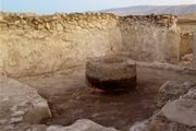 اسب بال‌دار را ببینید! + عکس
