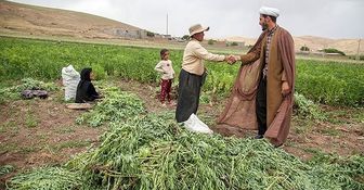 سود، جریمه و کارمزد وام کشاورزان خسارت‌دیده بخشیده شد 