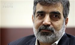 جزئیات سفر مدیرکل آژانس بین‌المللی انرژی اتمی به ایران