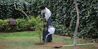 رهبر معظم انقلاب ۲ اصله نهال کاشتند